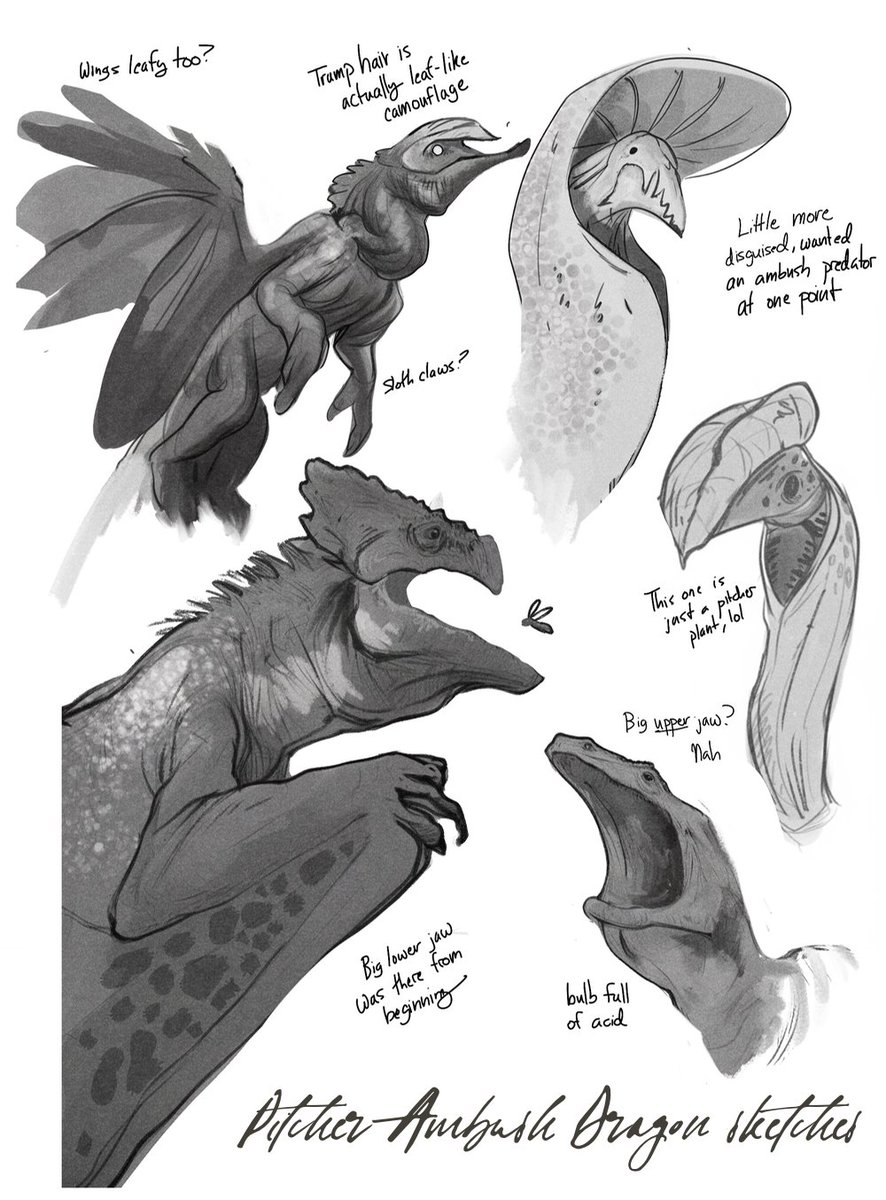Pitcher Dragon &amp; Anatomy illustration + some rough sketches
https://t.co/p6EIC0mv5U 