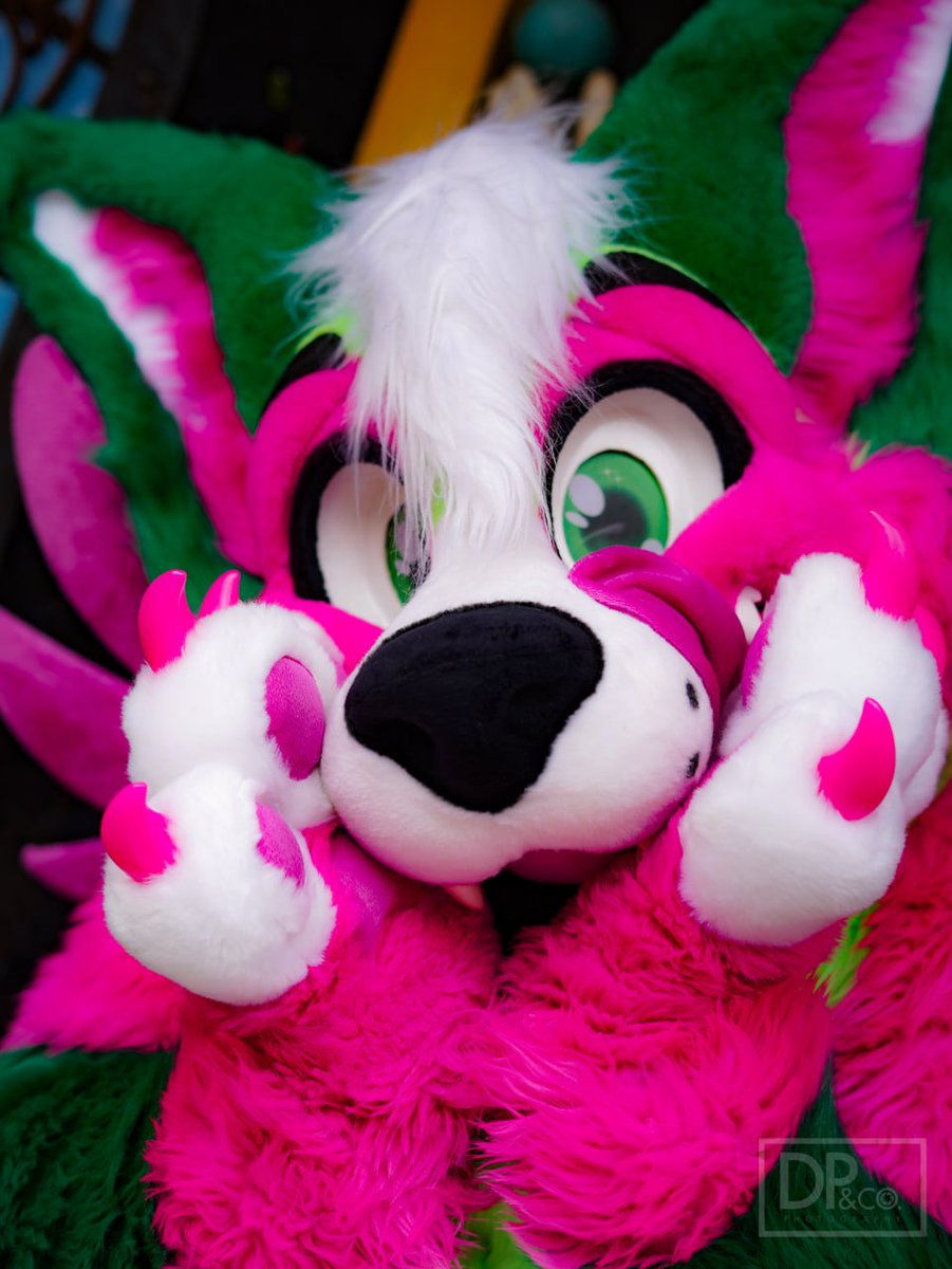 It's my borkday 🐕! Thank you everyone for the messages! Love you all dearly ❤️✨️

#MoreFurLessMonday
🪡 - <a href="/MoreFurLess/">More Fur Less</a>
📷 - <a href="/distalsplace/">Distal's Place ▶ gone from here...</a>