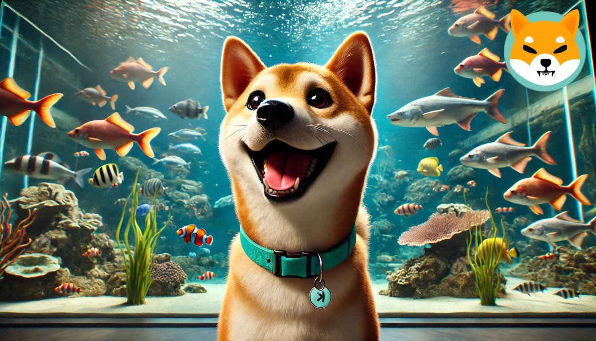 kaspaShiba's tweet photo. Shiba On Krc20 is so much better, faster and secure.๐
white paper available on our website https://t.co/QTASYrcfEL
#kaspa #fastestnetwork #oldshibakiller #future #KRC20 https://t.co/S8spad7Way