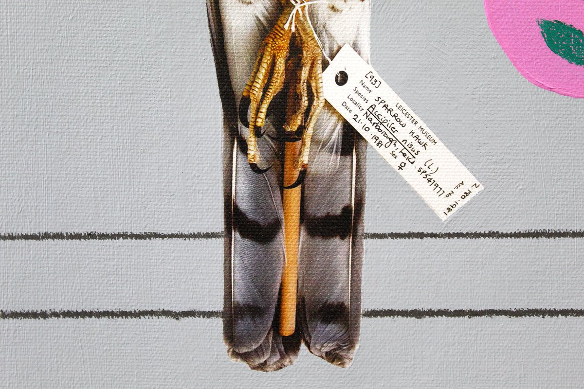 Lucy Stevens (@lucyjostevens) on Twitter photo This female sparrowhawk will be joining me <a href="/theotherartfair/">The Other Art Fair</a> this week.
📍Find me on stand 90 at The Truman Brewery, 91 Brick Lane, London E1 6QR.
📆
Private view: Thur 10 Oct 5-10pm
Fri 11 Oct 1-9pm
Sat 12 Oct 11-7pm
Sun 13 Oct 11-6pm
toaf.com/3yNS4wb This female sparrowhawk will be joining me <a href="/theotherartfair/">The Other Art Fair</a> this week.
📍Find me on stand 90 at The Truman Brewery, 91 Brick Lane, London E1 6QR.
📆
Private view: Thur 10 Oct 5-10pm
Fri 11 Oct 1-9pm
Sat 12 Oct 11-7pm
Sun 13 Oct 11-6pm
toaf.com/3yNS4wb