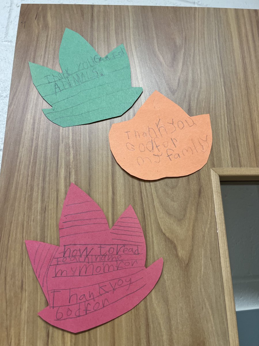 Erin Belobradic tweet media