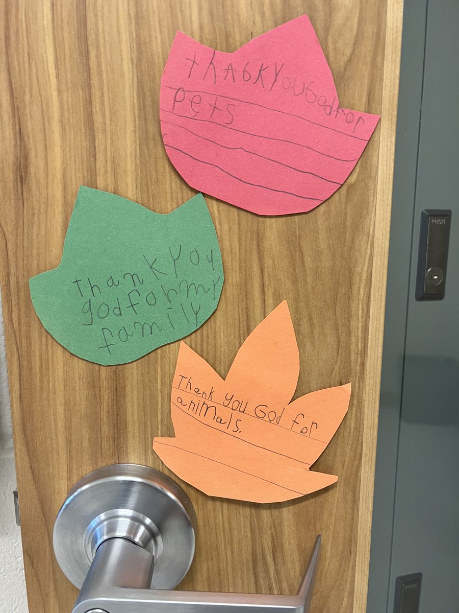 Erin Belobradic tweet media