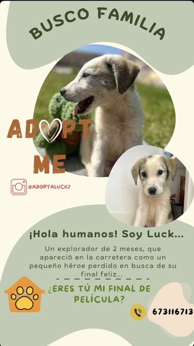 Reyes (@reyespm_) on Twitter photo 