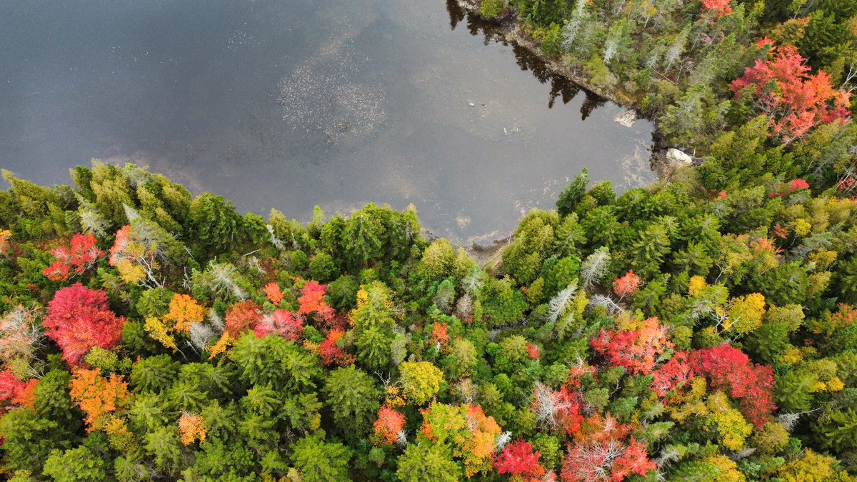 Corey from IT tweet media