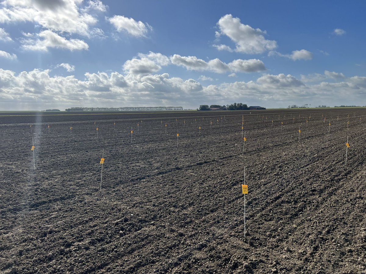 debeik's tweet photo. De lijntjes weer mooi strak vanmorgen!  Eerste stokken staan weer in de klei voor aanleg van de #Duistproef #Bayer https://t.co/ezhbwzdeJ4