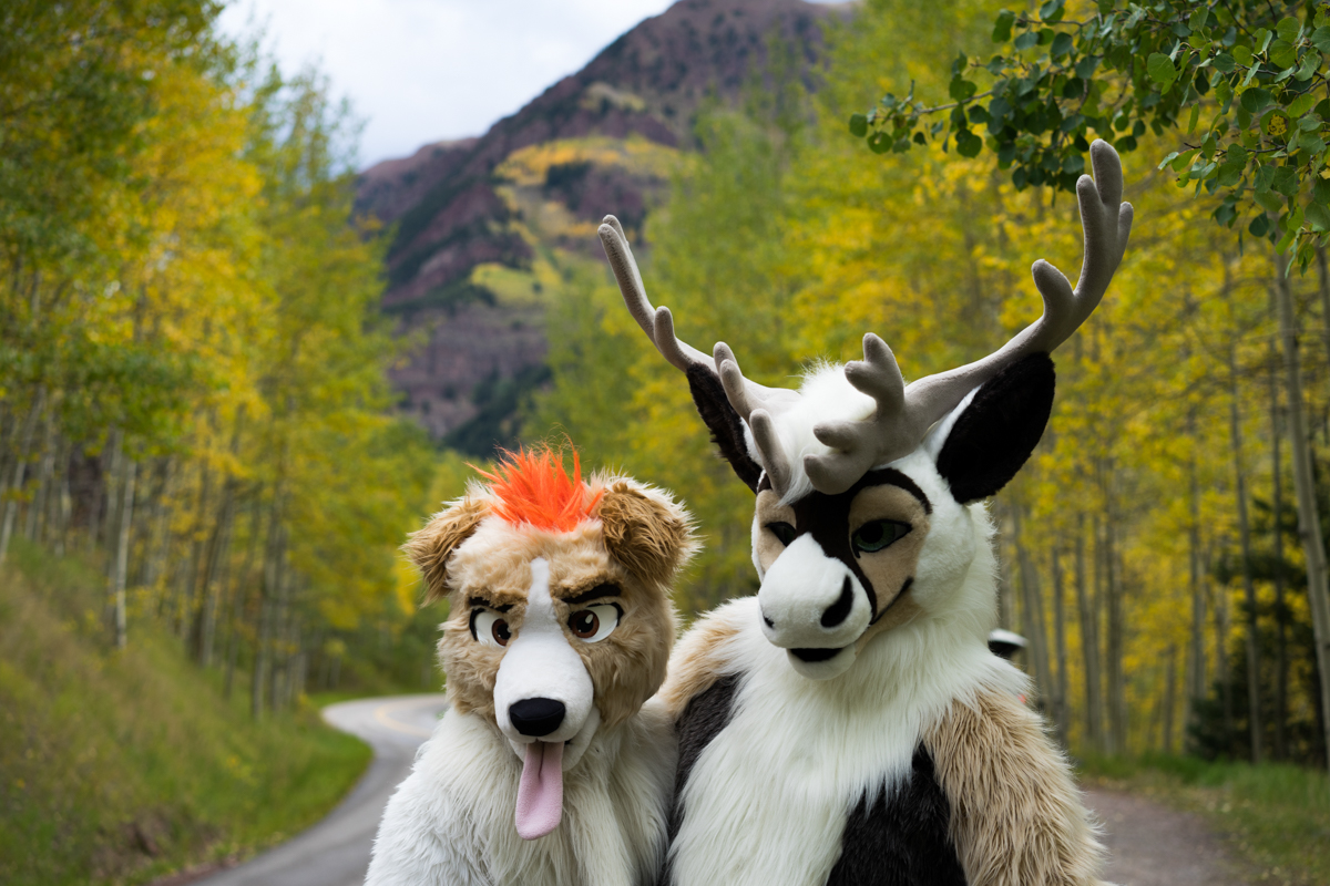 Loomy! (@loomy7) on Twitter photo 