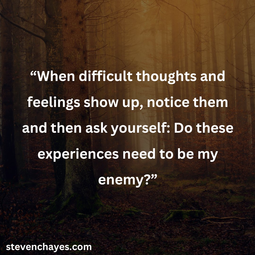StevenCHayes's tweet image. New article is live: How To Be Smarter When You're Feeling Depressed. You can read it here: stevenchayes.com/how-to-be-smar…