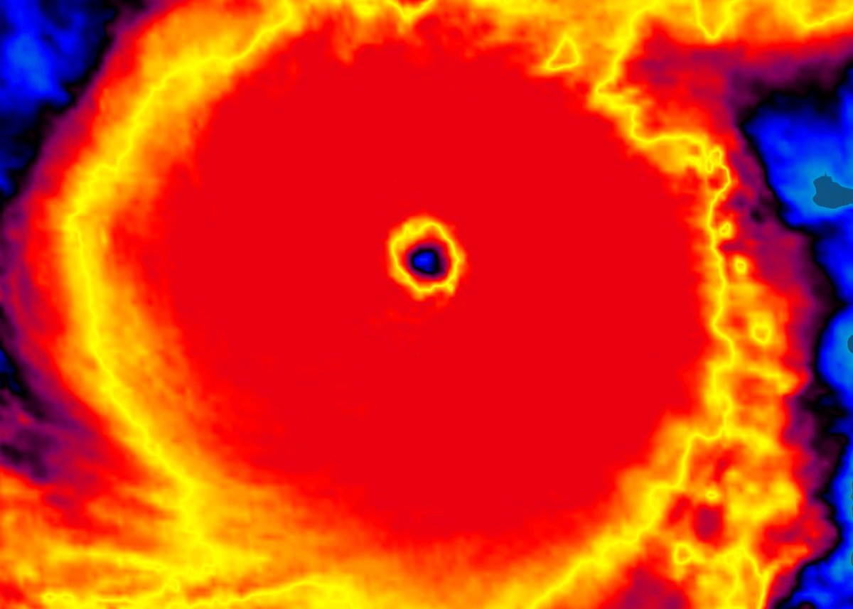#Milton #Category5