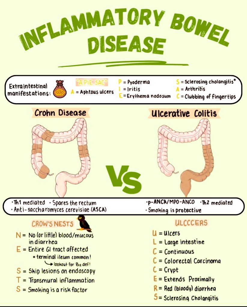 Inflammatory Bowel Disease