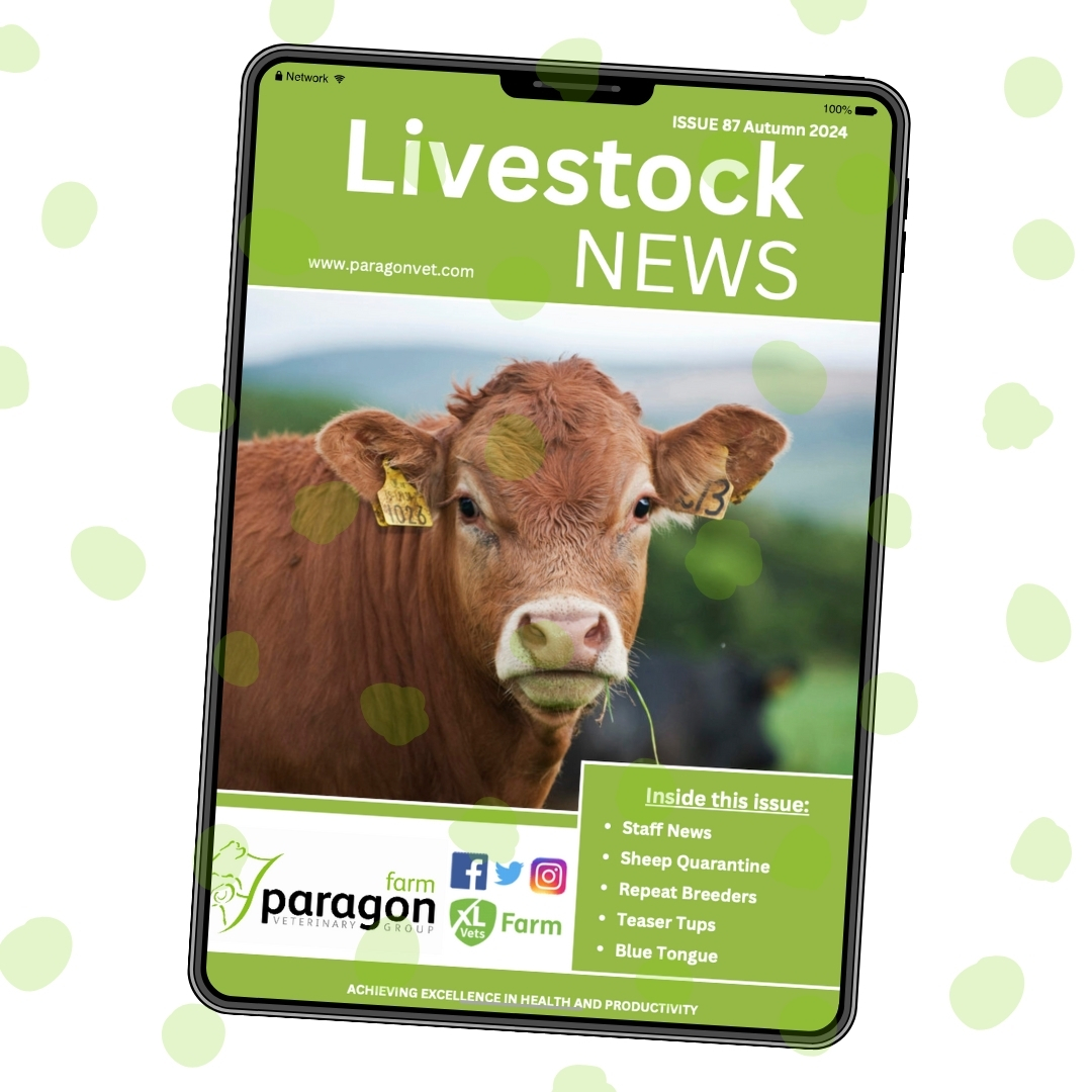 Paragon Farm Vets tweet media