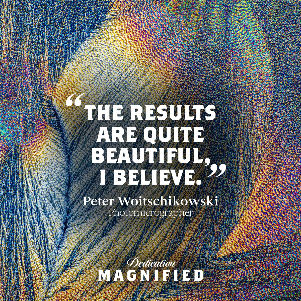 Tamdhu as you’ve never seen it before…​​

To celebrate the release of the Dedication Collection, we worked with photomicrographer Peter Woitschikowski, to take a closer look at our spirit.

To look a little closer and find out more visit Tamdhu.com