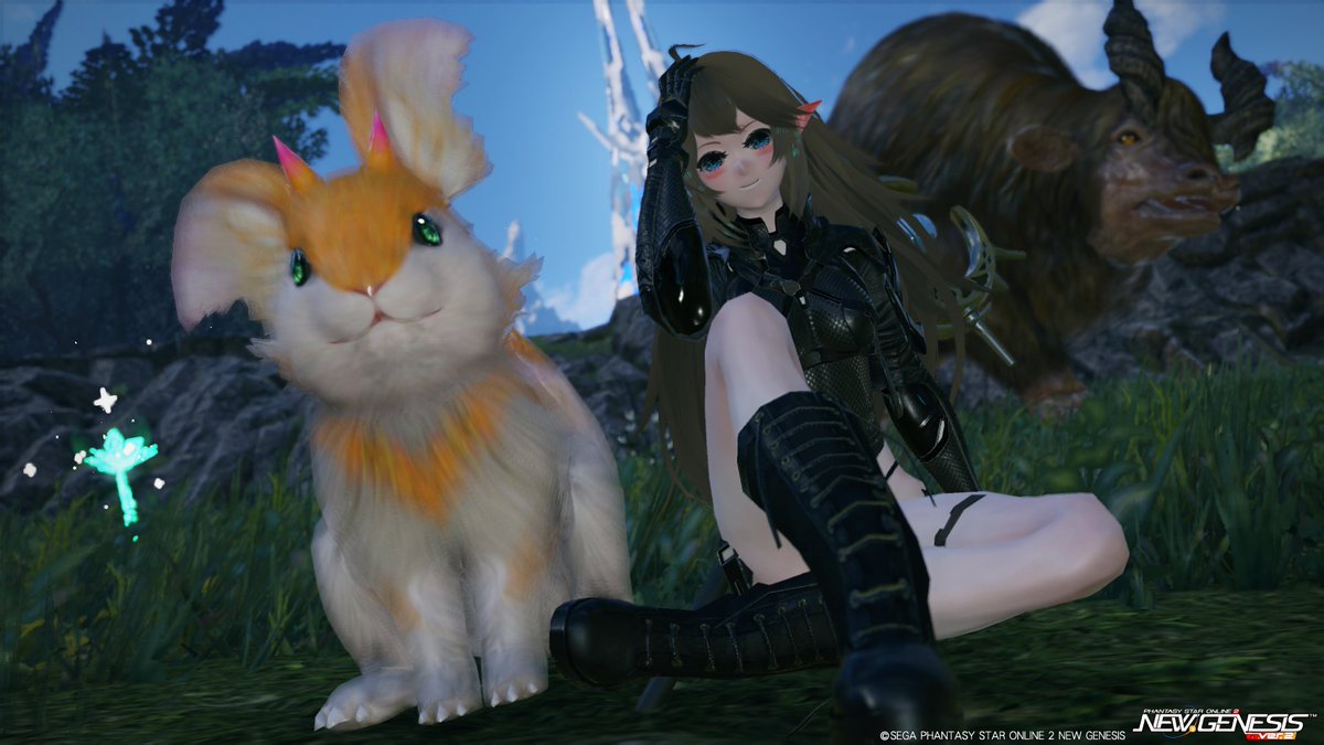 narurainne's tweet photo. Good morning~ ☀️

#PSO2NGS_SS 
#メンテの日じゃないけどssを貼る https://t.co/cCRuPHtBhF