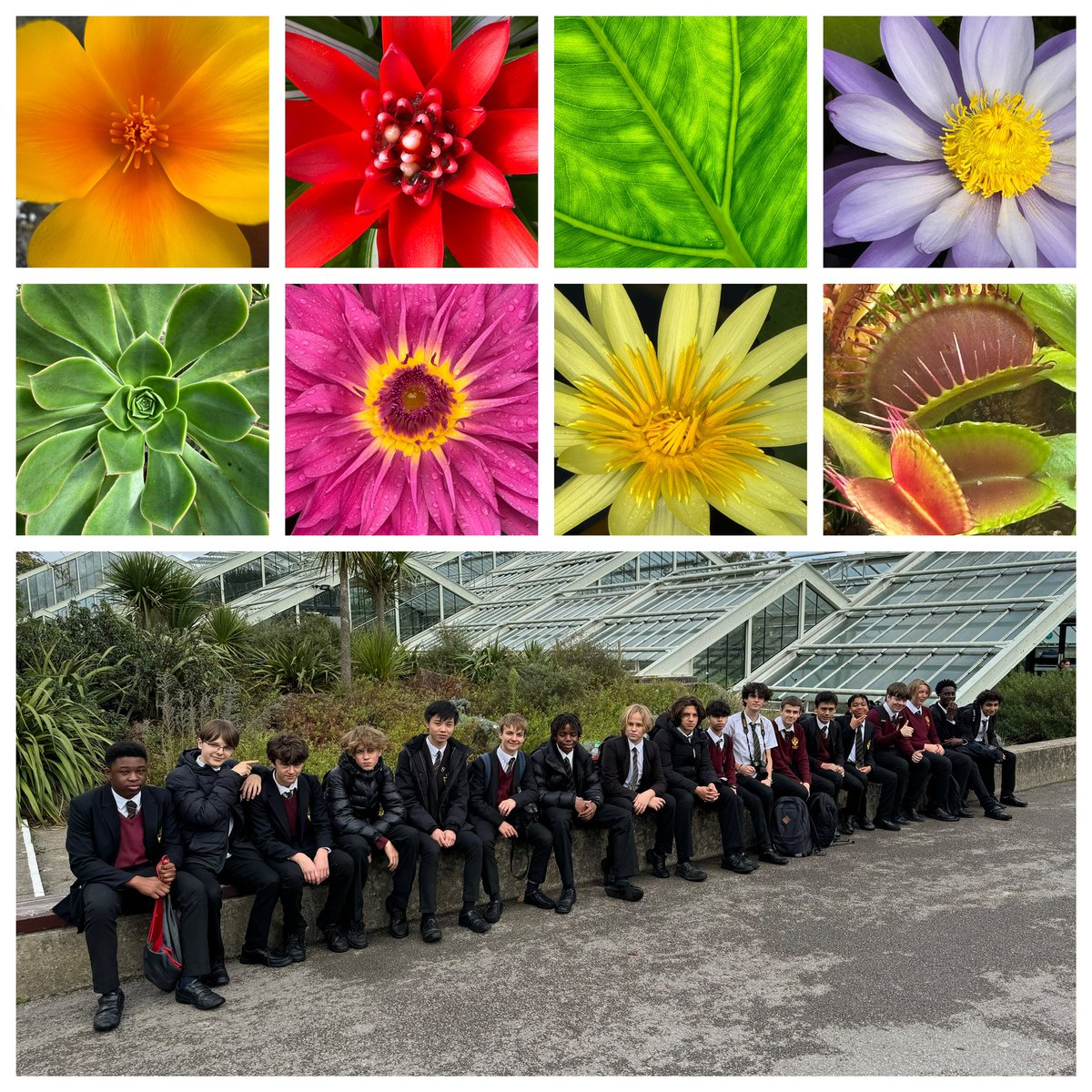 Another fantastic #Year10 #KS4 #GCSE #Art trip to <a href="/kewgardens/">KewGardens</a> today. Beautiful, as always, and the pupils had great fun taking loads of photos. We can’t wait to see the art work that they inspire! #proudteacher #loveteaching