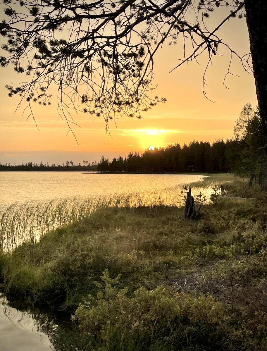 #goodnight #monday #purenature #peace #posio #finland #lapland #october #autumn