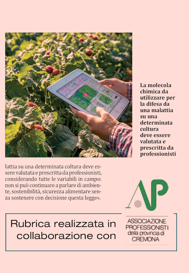 mondopadano's tweet photo. «Settore primario in forte crisi».
L'intervista - Emanuele #Cabini, presidente provinciale dell’Ordine dei Dottori Agronomi e dei Dottori Forestali, analizza i temi trattati nel weekend di Siracusa.
https://t.co/wiidw4DAEH
#professionisti #professioni #agronomi #agricoltura https://t.co/dl3wnVXXlW