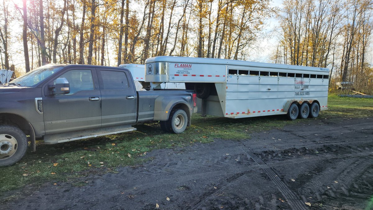I have a problem. I used to fit 28-30 weaned calves in this trailer. Now I only fit 25.