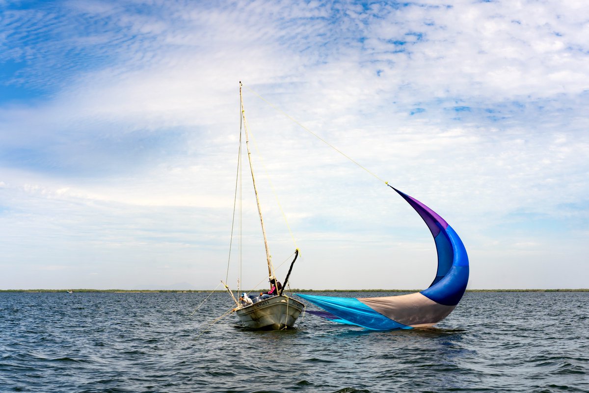 FishChoice tweet media