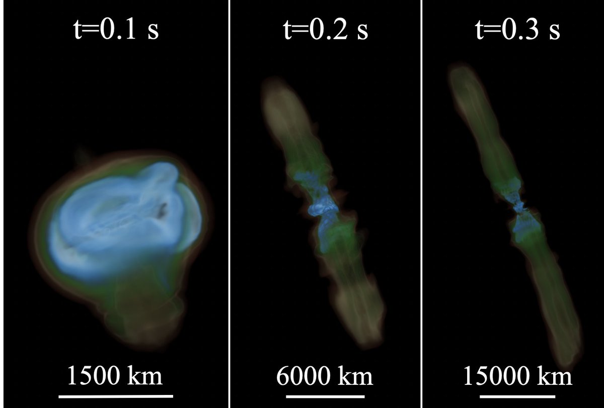 arxiv.org/abs/2410.02852  N'western student Danat Issa shows it's possible to get neutron-rich ejecta &amp; r-process from collapsar accretion disks, given a high Mdot &amp; a strong B-field threading the disk (yes, an assumption, but likely needed to power the GRB jets observed anyways)