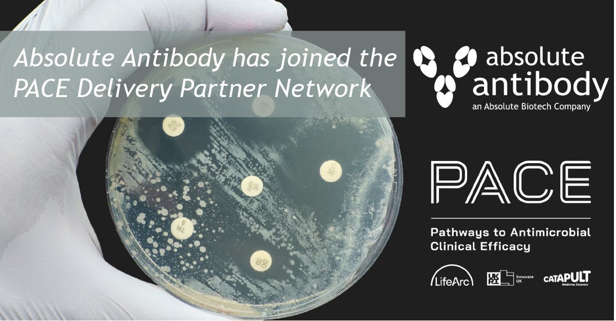 Absolute Antibody tweet media