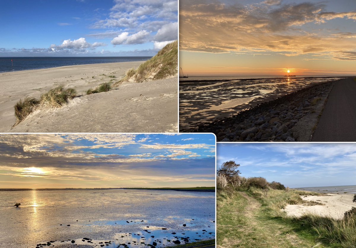 Met onze vriendengroep 4 dagen naar Ameland geweest, alles op de fiets. Prachtig weer en heerlijk gefietst en gewandeld. Van Hollum tot Het Oerd en “alles” er tussen in. <a href="/richardtkiewiet/">richardtkiewiet</a> <a href="/TruusWijnen/">Truus Wijnen</a> <a href="/FrisiaCoast/">Frisia Coast Trail 🥾</a> <a href="/Fryskfamke79/">Elske</a> <a href="/johkramer/">Johannes Kramer</a>