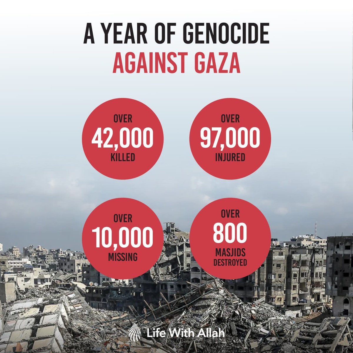 ToothlessWonder 🇵🇸 tweet media