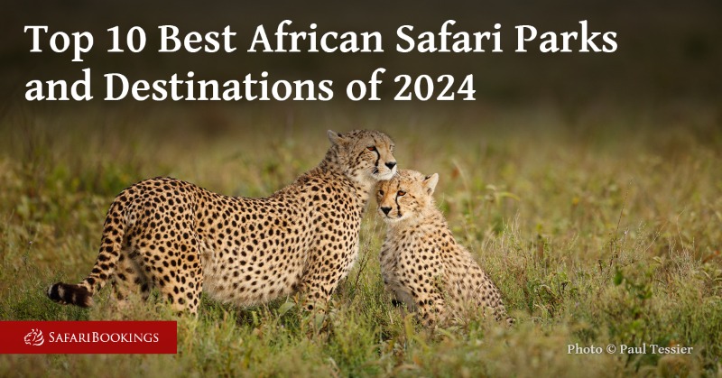 safaribookings's tweet photo. Africa has many incredible wildlife destinations, but which safari park do travelers rate the highest? Our study of 2,384 reviews from travelers and experts has determined the winner – Serengeti NP! Read on for the full list of Top 50 parks. #Serengeti #Tanzania #Wildlife #Travel