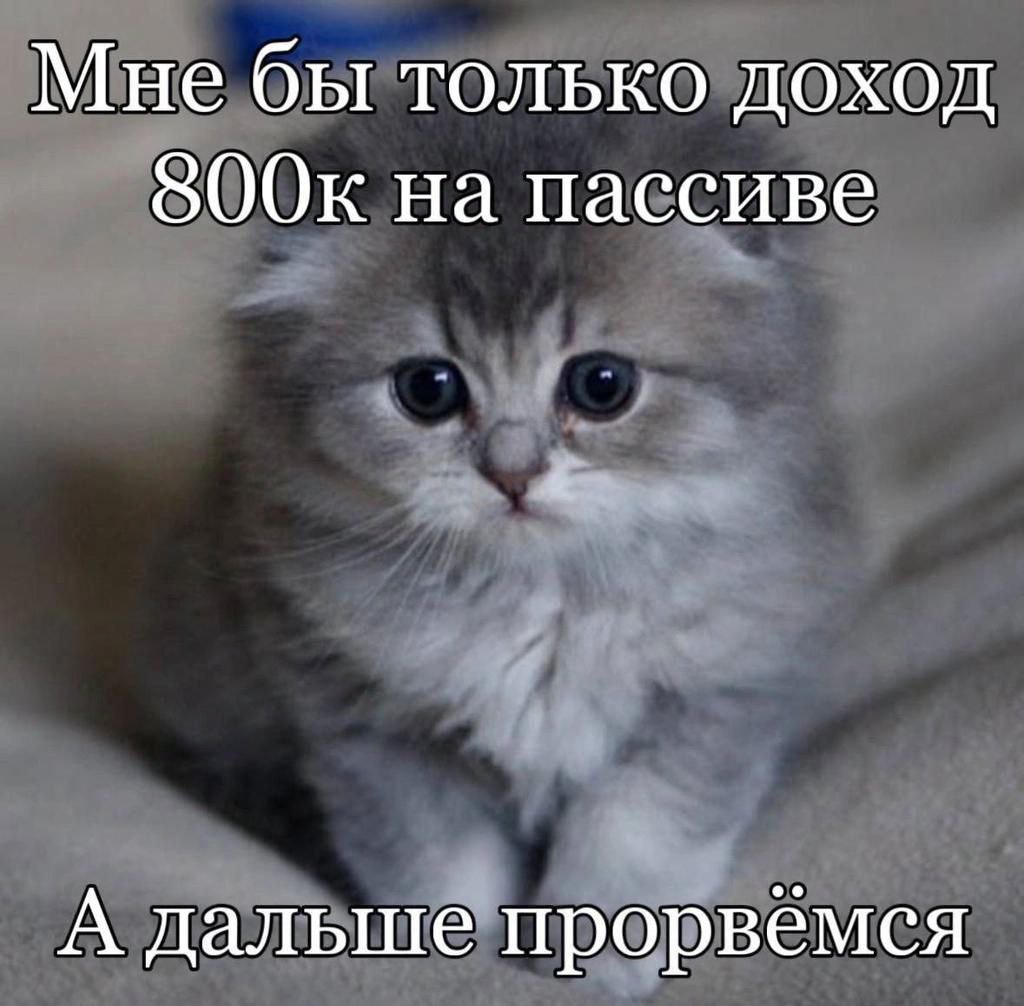 catsilcats's tweet image. 