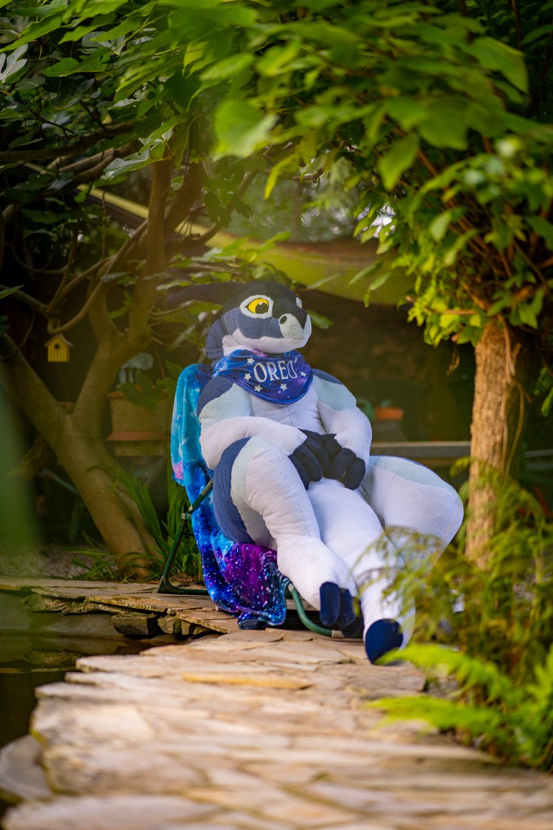 Oreo enjoys the last rays of sunshine before it gets colder again☀️

(Inspired by <a href="/DorokiDarogan/">DorokiDarogan (Dexx)</a> with his sunbathing Winston😋)
📷 <a href="/FurJorden/">Jorden</a> 
🐉 <a href="/PlushLife_eu/">PlushLife</a>