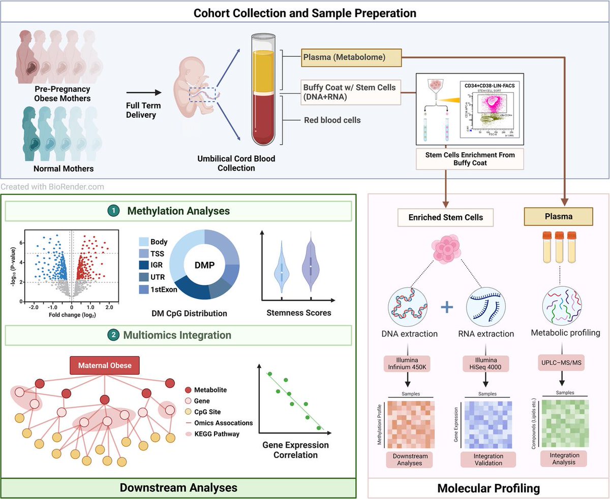Garmire Lab tweet media