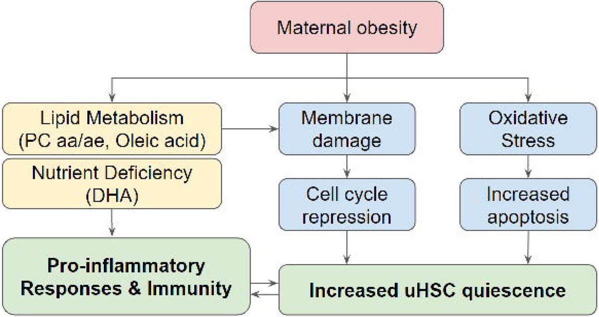 Garmire Lab tweet media