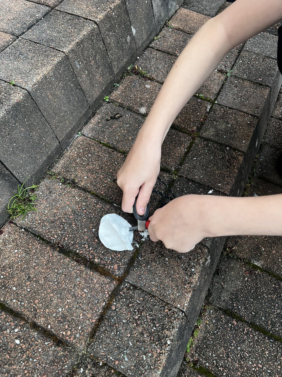 babyalmac tweet media