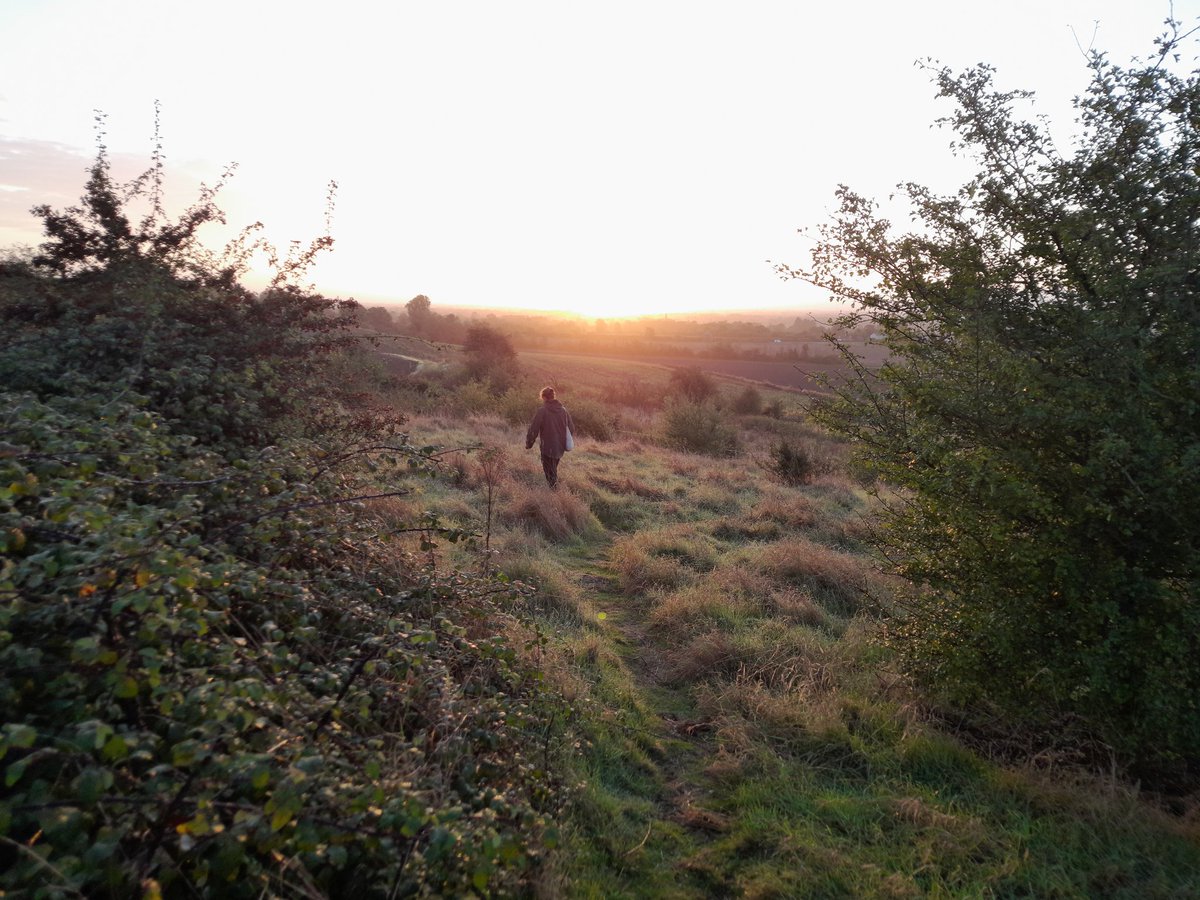 Clopton, S Cambs ringing this morning, a complete clear out, just 10 birds, 7 Blackcap and a single Chiffchaff. Clear sky, SW winds. Blackcap total now 750 exactly, since 21st July.