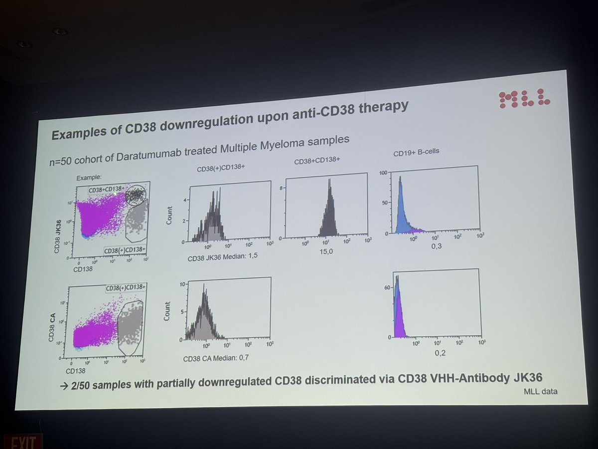 CD38 nanoantibody JK36, excellent in identifying plasma cells in myeloma post antiCD38 directed therapy