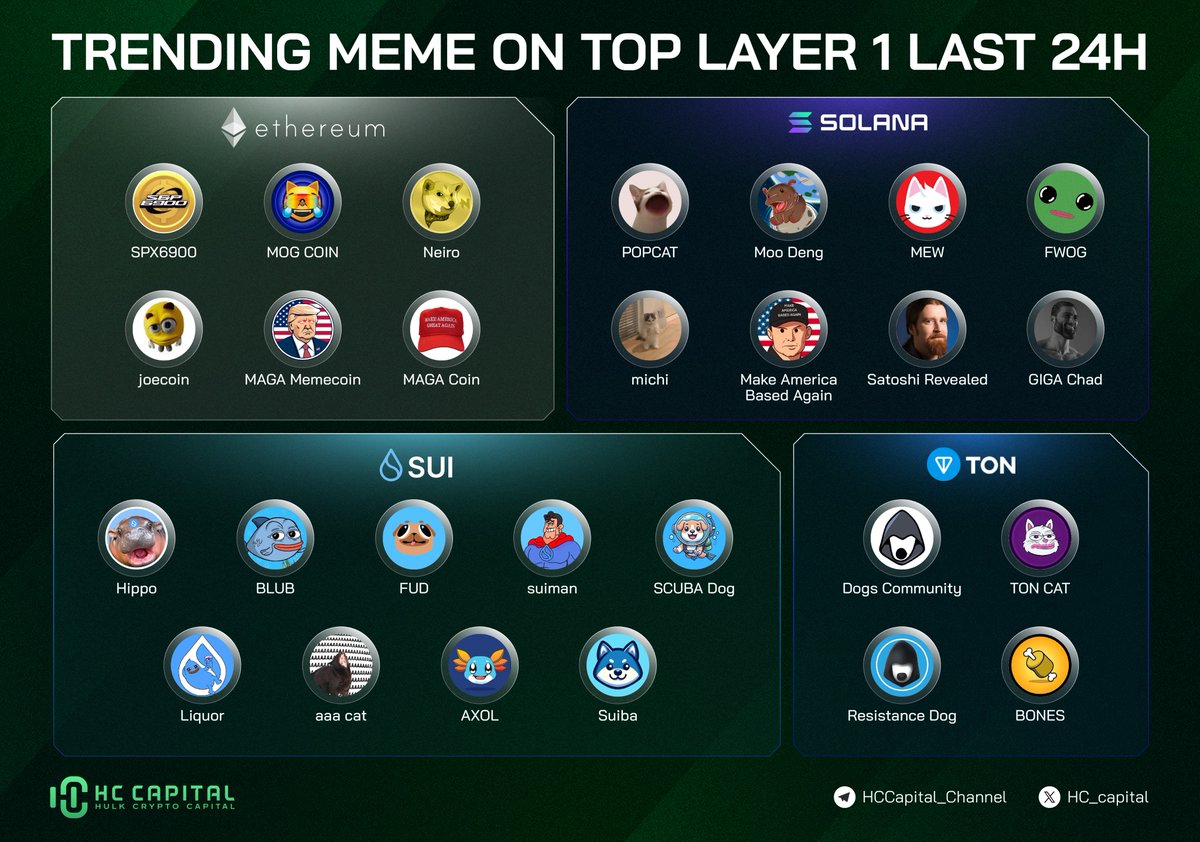 🔥Memecoins continued to outperform the market

It's the era of no VC, no vesting, no locked tokens

Look back at the top trending memecoins in the last 24h

🔻Ethereum
#SPX6900 
$MOG
$NEIRO
$JOE
$MAGA

🔻Solana
$POPCAT
#Moodeng 
$MEW
$FWOG
$MICHI
$GIGA

🔻Sui
$HIPPO
$BLUB
$FUD