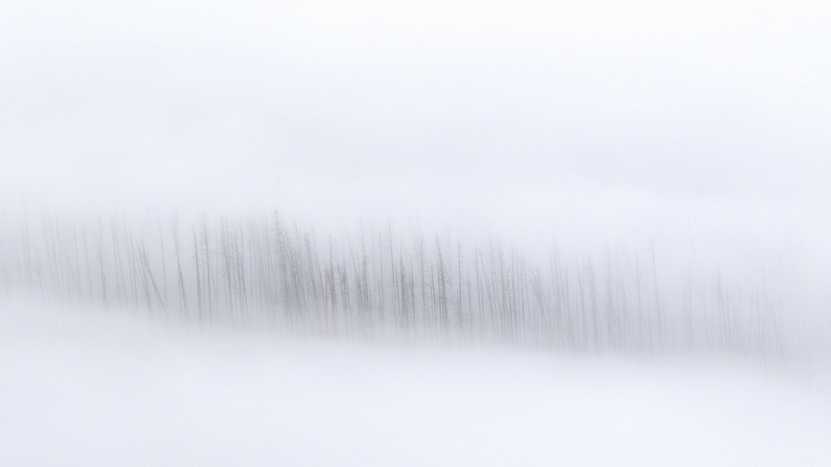 Brynn Alise (@brynnalisephoto) on Twitter photo 🧵I dropped a new piece this weekend on <a href="/Shape_L2/">Shape</a> with <a href="/TransientLabs/">Transient Labs</a> in 16x9 format and ready for <a href="/whitewallsapp/">White Walls</a> and other digital frames. "Remnants" was captured on the day the historic floods destroyed many areas in Yellowstone National Park in June, 2022... 🧵I dropped a new piece this weekend on <a href="/Shape_L2/">Shape</a> with <a href="/TransientLabs/">Transient Labs</a> in 16x9 format and ready for <a href="/whitewallsapp/">White Walls</a> and other digital frames. "Remnants" was captured on the day the historic floods destroyed many areas in Yellowstone National Park in June, 2022...