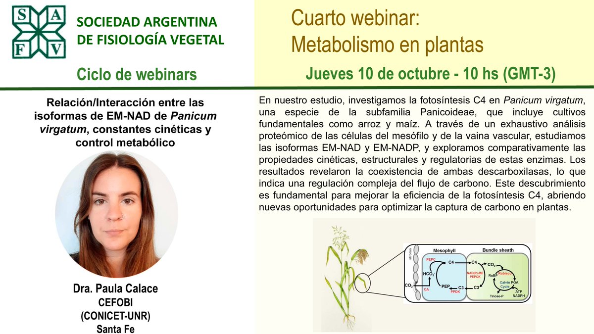 El próximo jueves Paula Calace nos contará sobre "Relación/Interacción entre las isoformas de EM-NAD de Panicum virgatum, constantes cinéticas y control metabólico". El 10/10, 10hs (GTM-3). Inscripción hasta el 09/10, 16h: forms.gle/KcwHSfK5MQBodv………
<a href="/calacepaula/">poly</a> <a href="/CEFOBI_CONICET/">CEFOBI-CONICET-UNR</a>