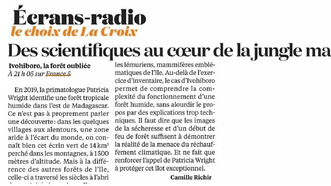francetvpro's tweet photo. #LesMédiasEnParlent

📍Ce soir sur #France5 à 21.05

🇲🇬Ivohiboro, la forêt oubliée
#doc @hautetcourtdoc avec Patricia Wright

La découverte d'une forêt malgache à l'incroyable #biodiversité.

👉À lire
 @TVMAG @teleobs @LaCroix @le_Parisien 

▶️Dispo sur https://t.co/9jFuek1f4j https://t.co/9W3fHvyiKS