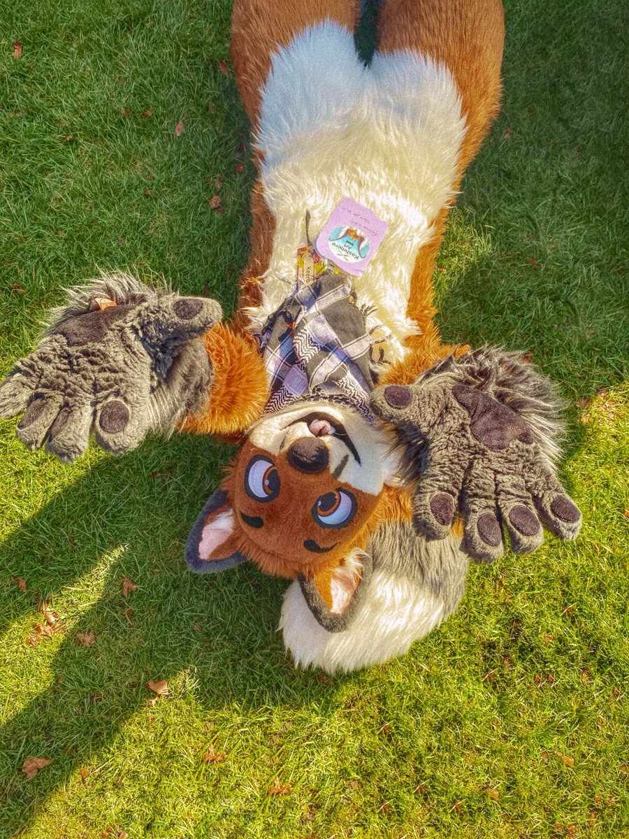 Keero Fox (moved to 🦋) tweet media