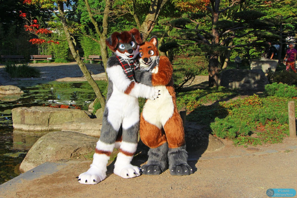 Keero Fox (moved to 🦋) tweet media