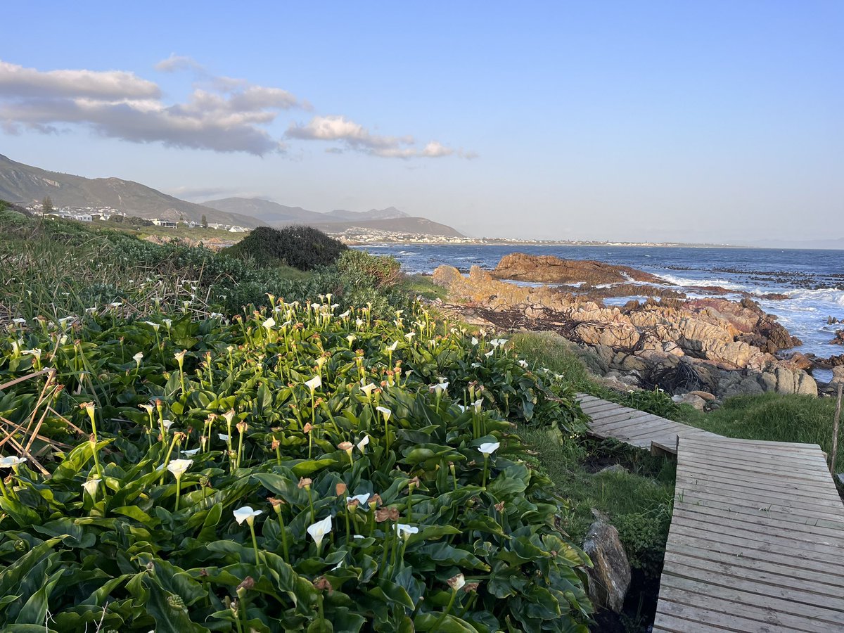 Onrus evening walk. #hermanus
