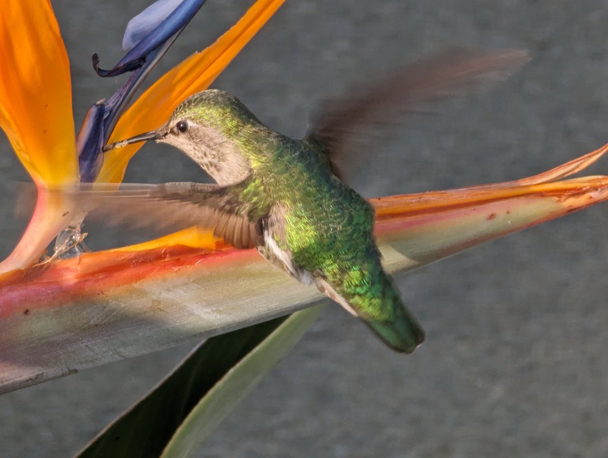 The Defeating Epilepsy Foundation tweet media