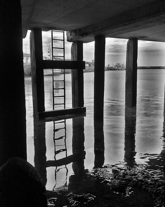 Hookland tweet media