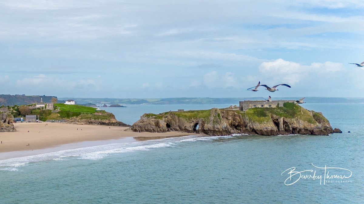 bevvypix's tweet photo. Now that was a close encounter of the gull kind during today’s photoshoot. https://t.co/vy4yI1xhLt