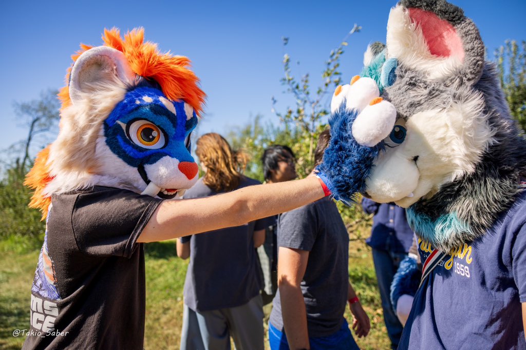 FurriesAtUMich's tweet photo. Furries getting their dose of grass and 🍎s

#uofm #umich https://t.co/xAOWjbpqUi
