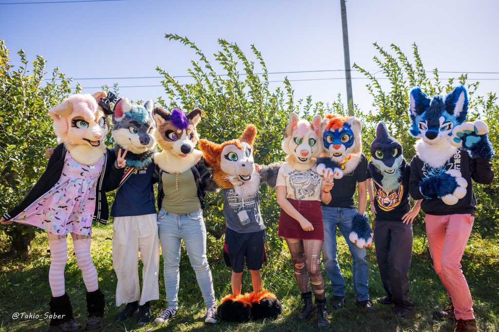 FurriesAtUMich's tweet photo. Furries getting their dose of grass and 🍎s

#uofm #umich https://t.co/xAOWjbpqUi