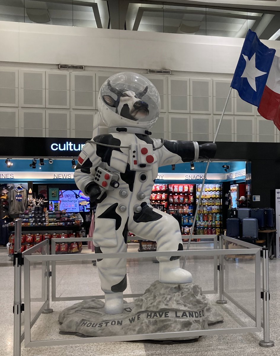 Annabelle Bohrdt tweet media