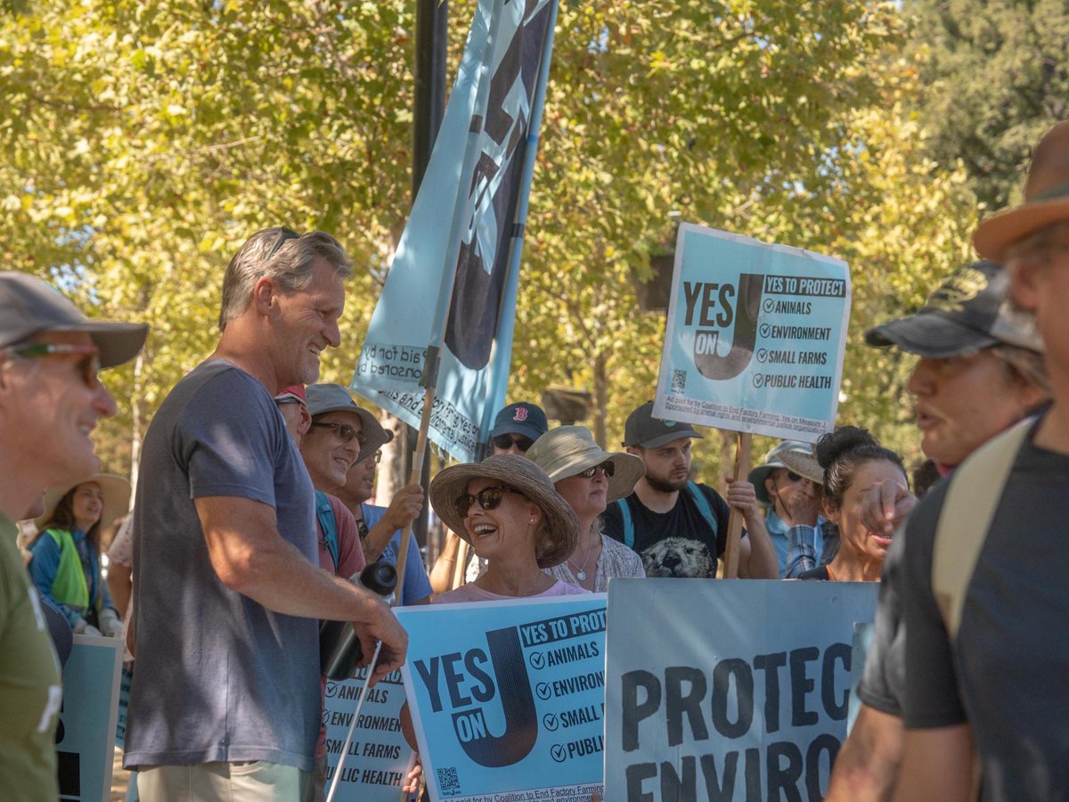 Last Saturday, over 100 people marched through Santa Rosa in over 100 degree heat to raise awareness about voting yes on Measure J. During the march, we held banners on an overpass which likely reached thousands of people

#YesOnJ #StopFactoryFarming #ProtectAnimals #SonomaCounty