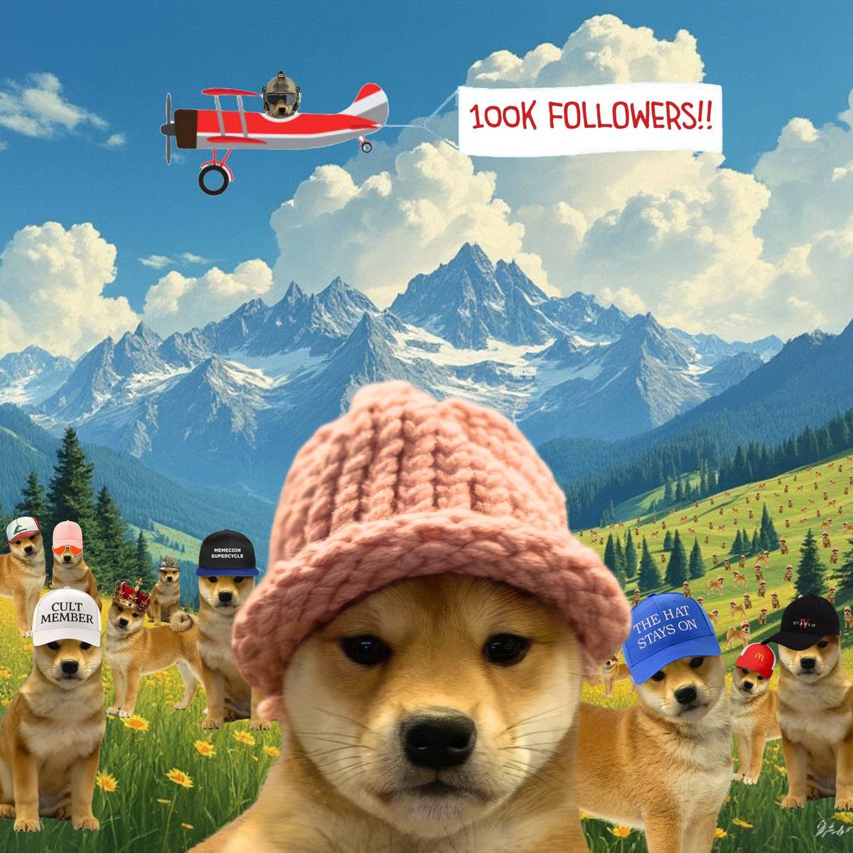 dogwifcoin tweet media