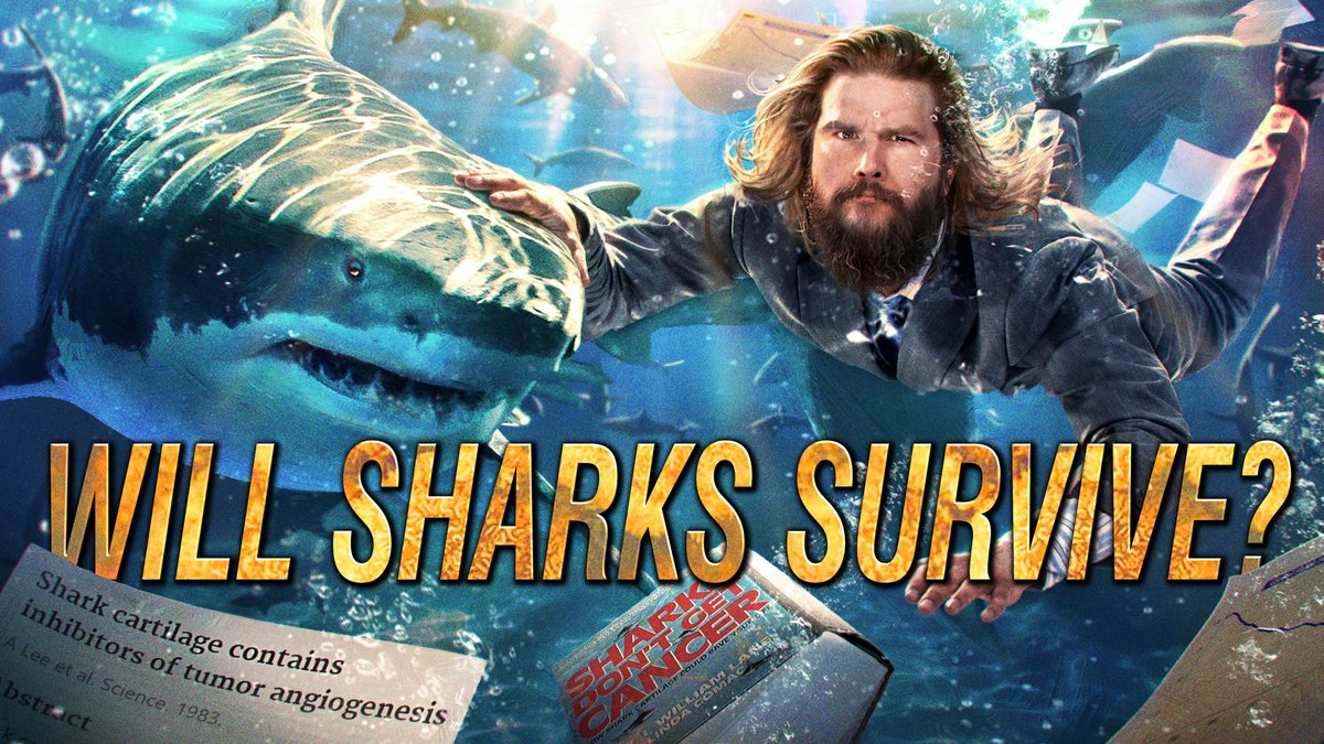 Another recent thumbnail for Kyle! It's really difficult sometimes to place elements right, with how much Youtube's UI can obscure parts of the thumbnail. And it varies so much too, depending on device and where you happen to catch the thumbnail. Oh well #thumbnaildesigner