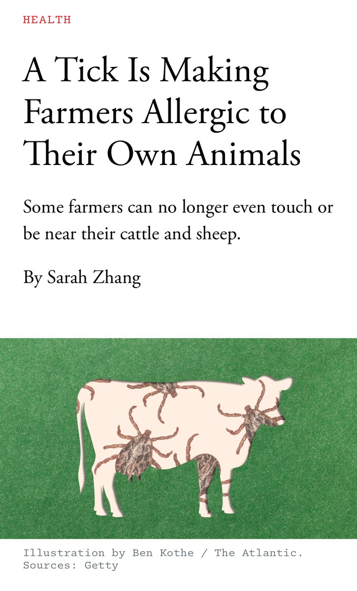 Sarah Zhang tweet media